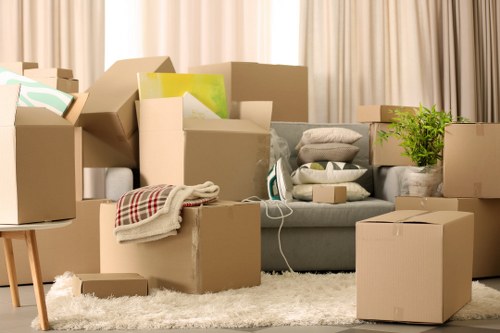 Navigating local access and parking challenges for removals in Elephant and Castle